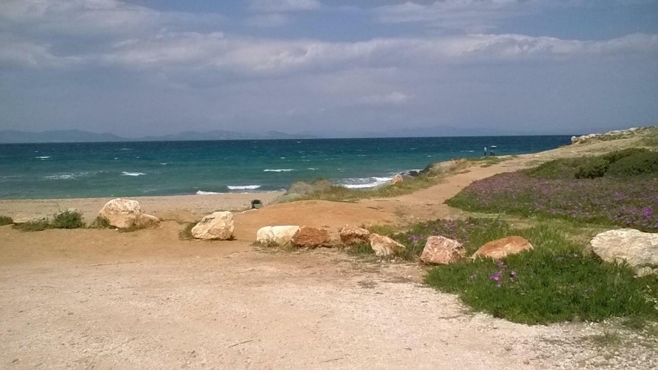 Nireos Proteos 20 Apartment Rafína Екстериор снимка