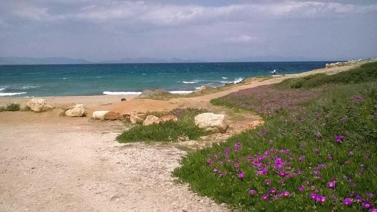 Nireos Proteos 20 Apartment Rafína Екстериор снимка