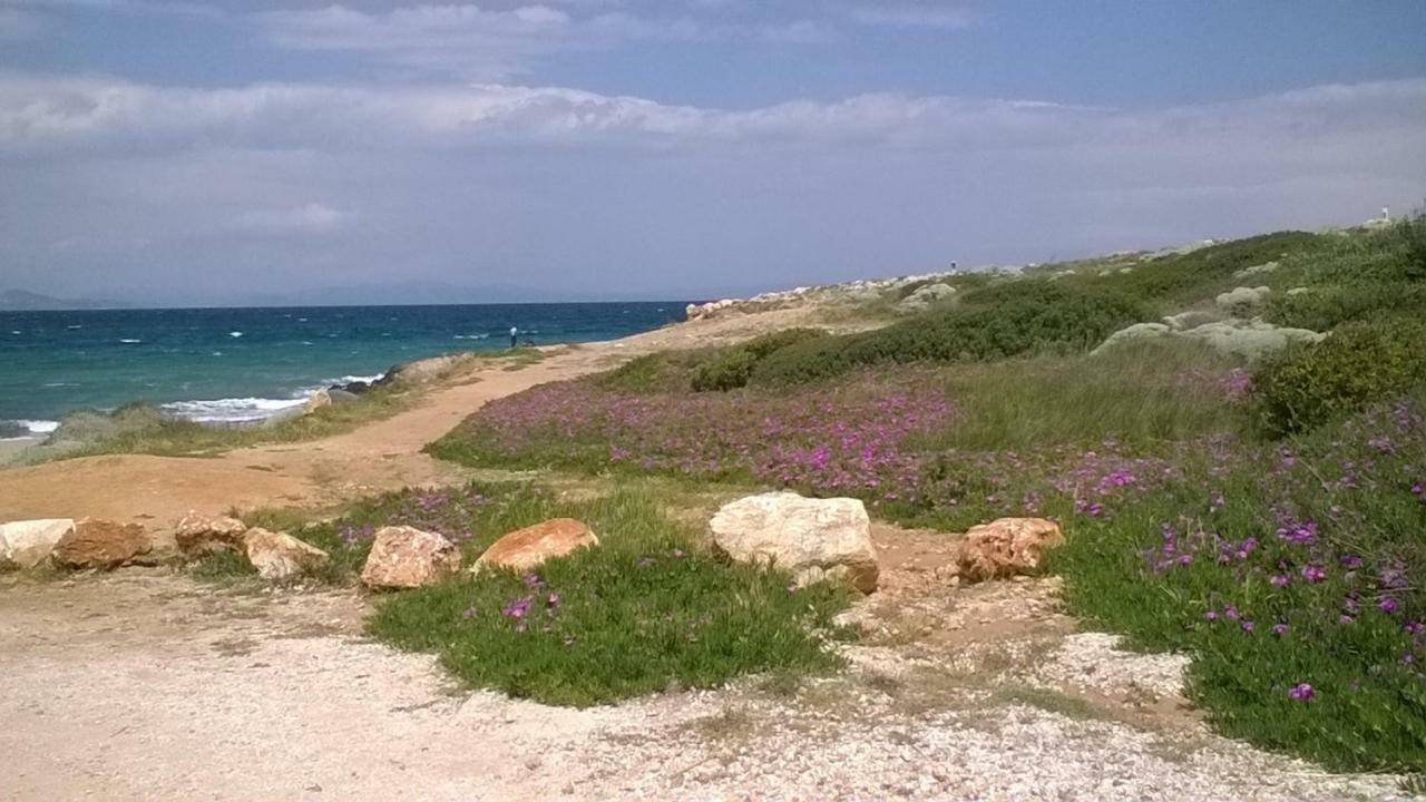 Nireos Proteos 20 Apartment Rafína Екстериор снимка